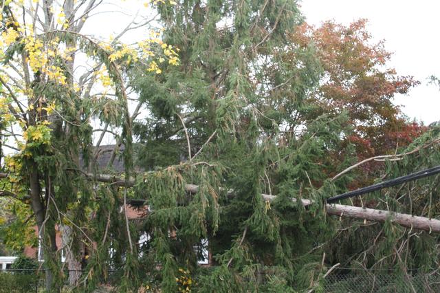 Hurricane Sandy Oct 2012